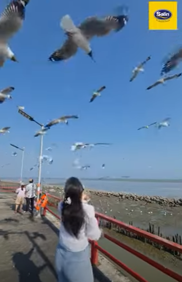 กิน เที่ยว นอน กับ Satin EP1 กิน เที่ยว นอน กับ Satin EP1