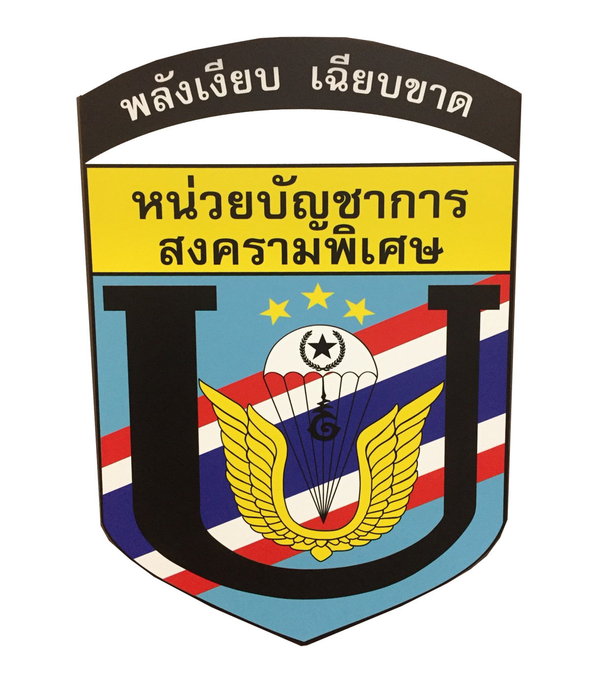 Special Warfare Command
