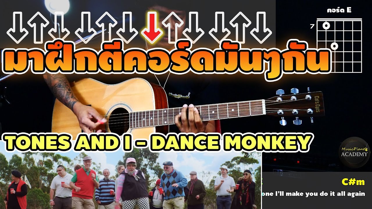 สอนกีตาร์ DANCE MONKEY - TONES AND I (COVER)