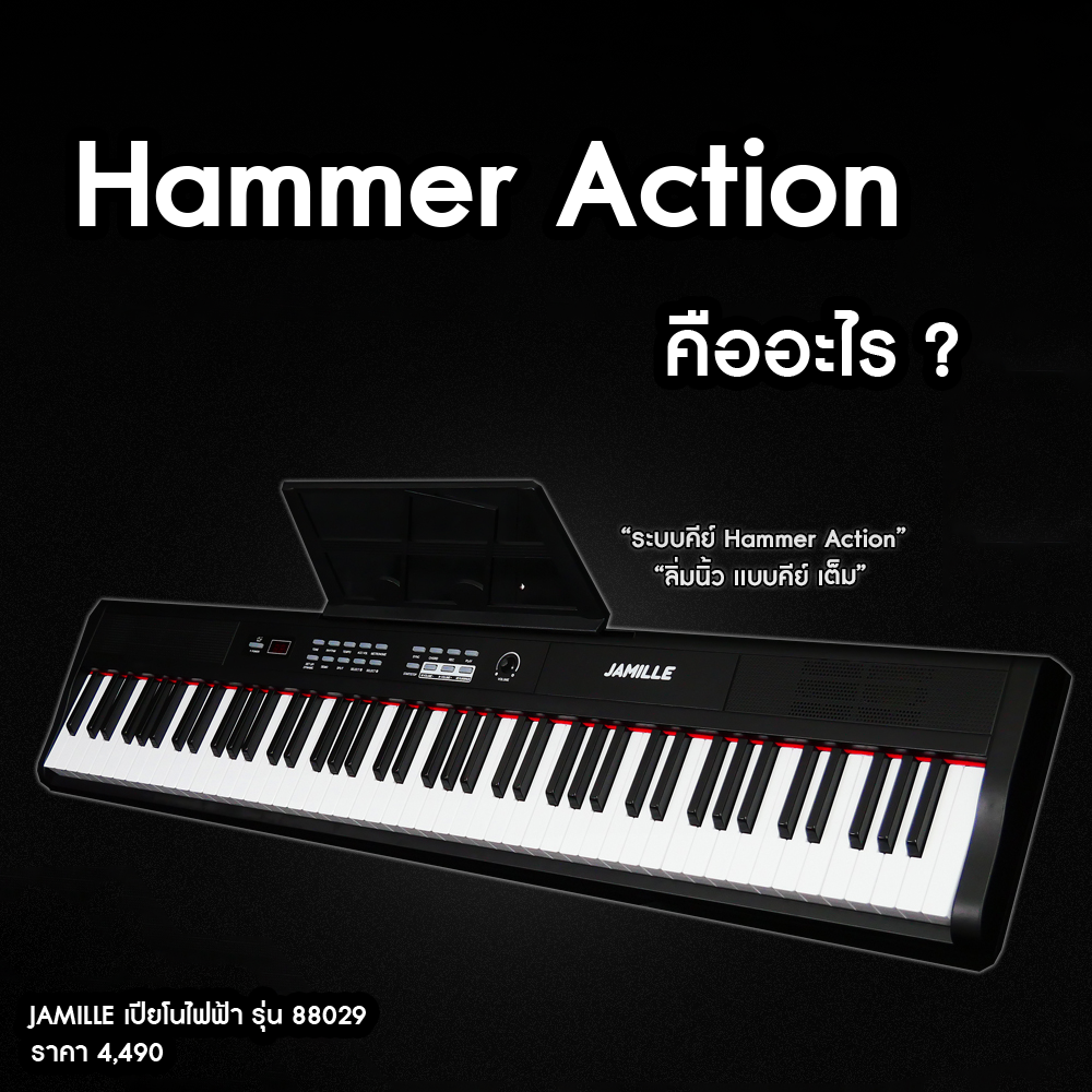 Hammer Action สิ่งสำคัญที่ควรรู้เมื่อเลือกซื้อเปียโนไฟฟ้า !!! #HammerAction #JAMILLE 