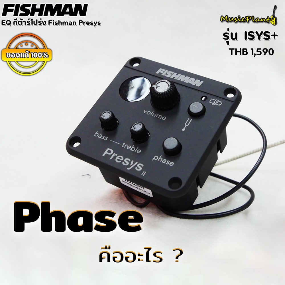 Phase คืออะไร ?