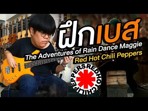 ฝึกเบส Red Hot Chili Peppers - The Adventures of Rain Dance Maggie
