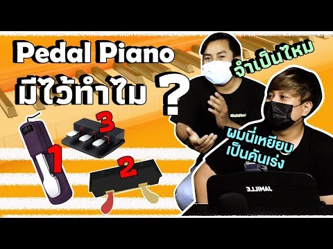 Pedal Piano มีไว้ทำไม จำเป็นไหม ?