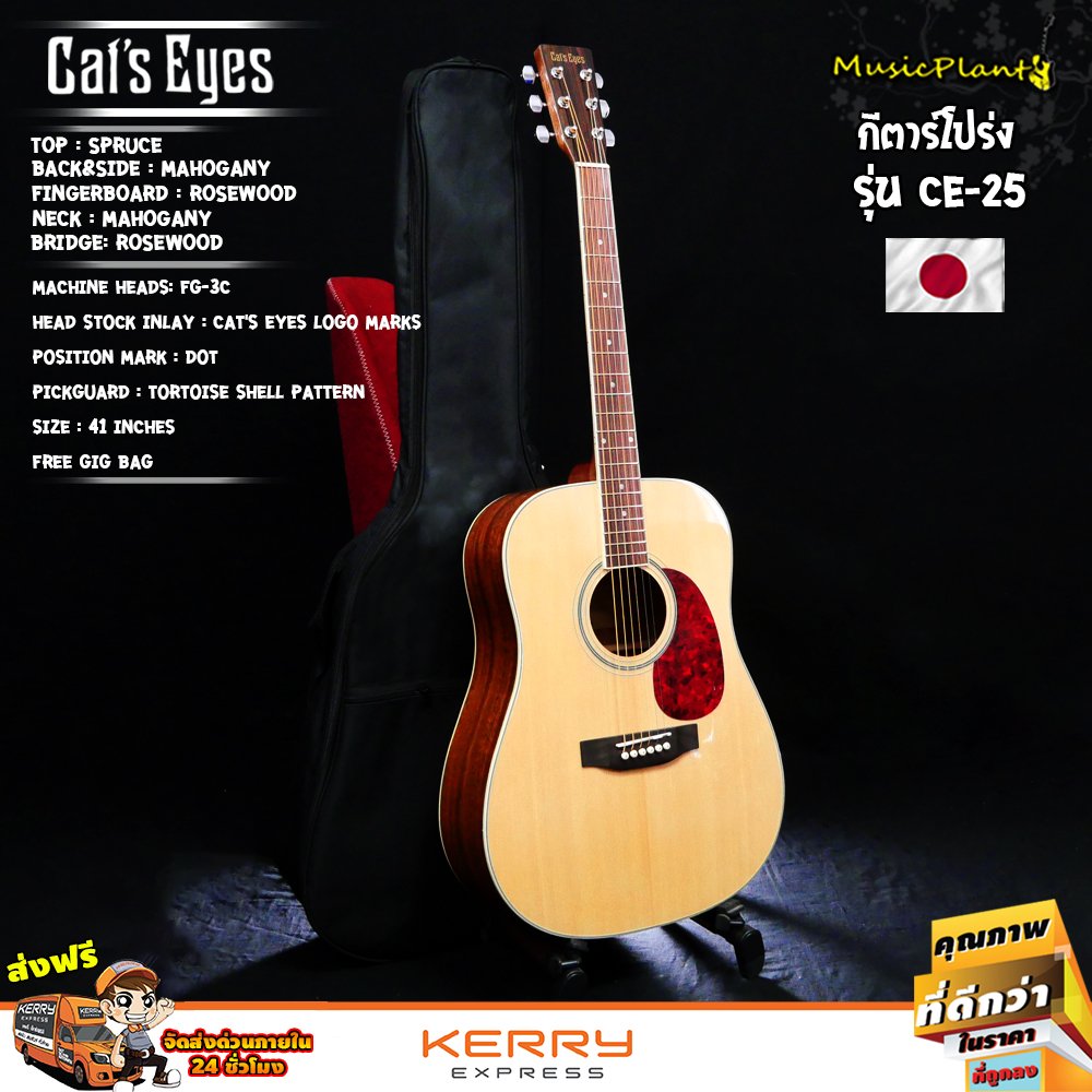 Cat's Eyes: CE-25, Acoustic Guitar