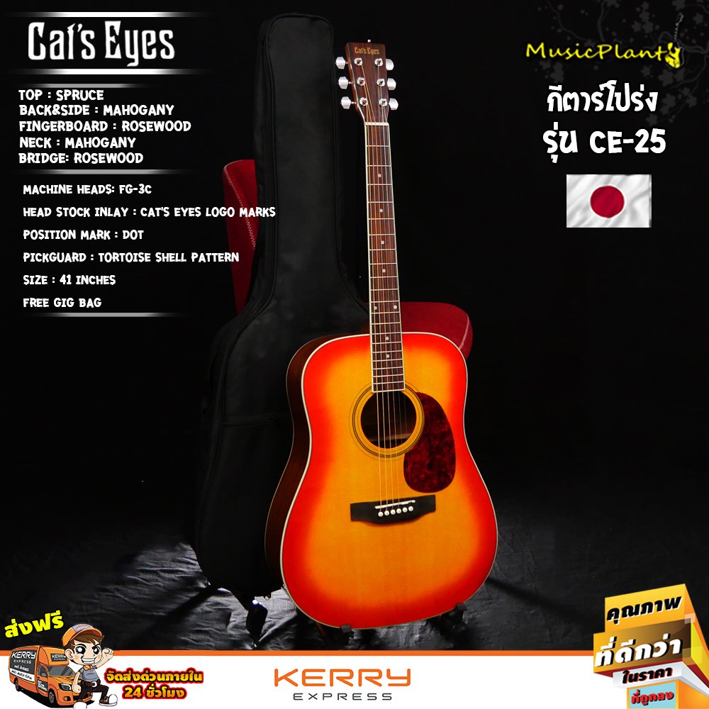 Cat's Eyes: CE-25, Acoustic Guitar - musicplant