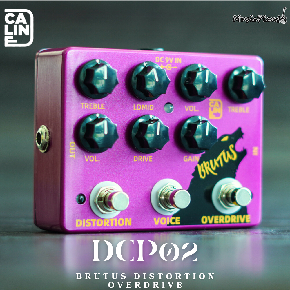 Caline DCP-02 BRUTUS Distorção Overdrive Efeito Pedal De Acessórios De Guitarra Com Duplo | Brasil Caline DCP-02 BRUTUS Distorção Overdrive Efeito Pedal De Acessórios De Guitarra Com Duplo | Brasil