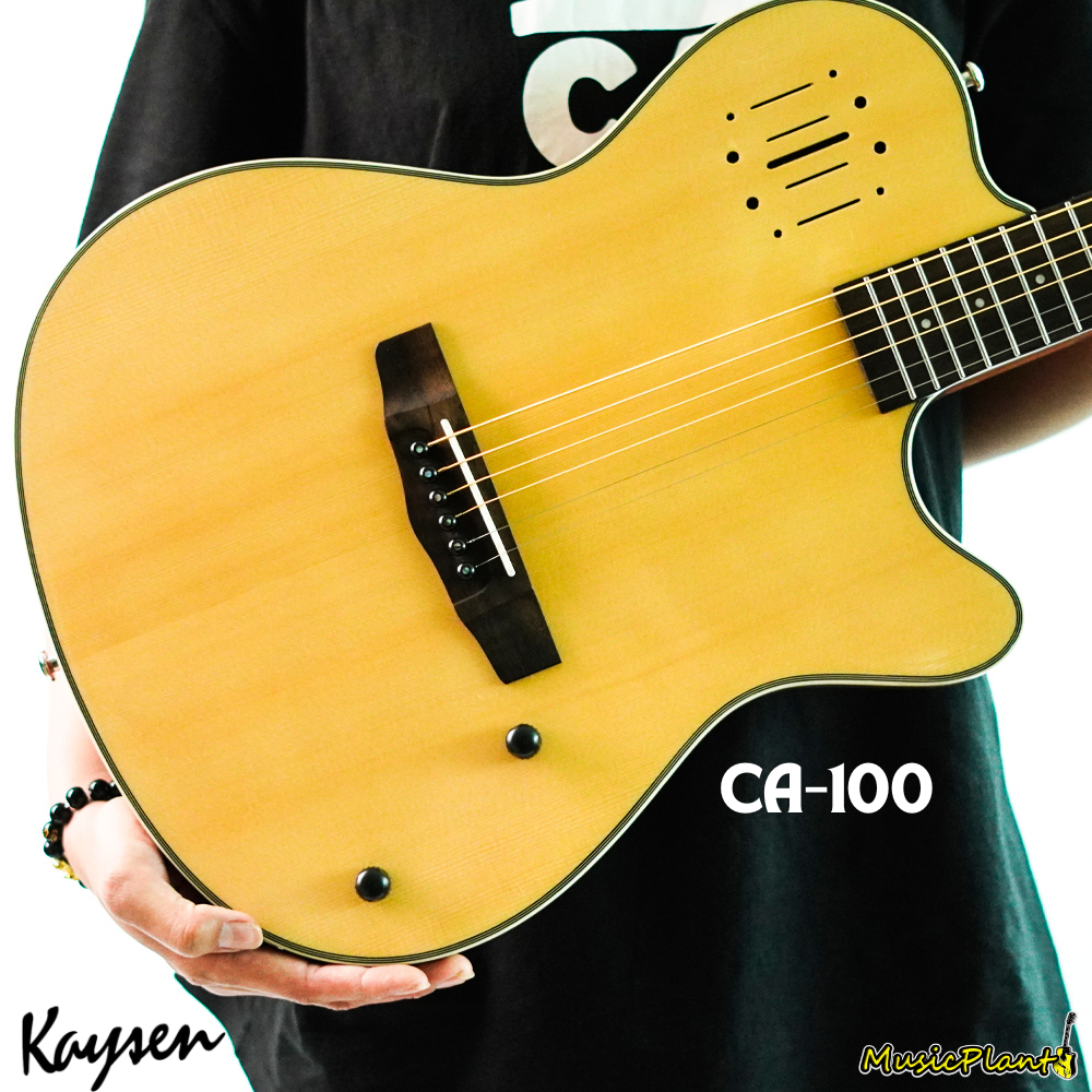 Kaysen - CA100 สายเหล็ก