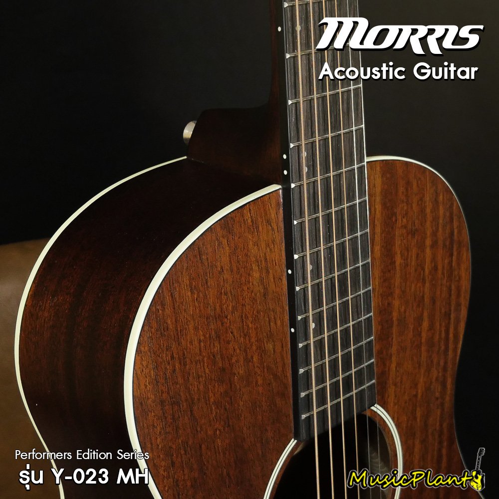 Morris: Y-023MH, Acoustic Guitar - musicplant
