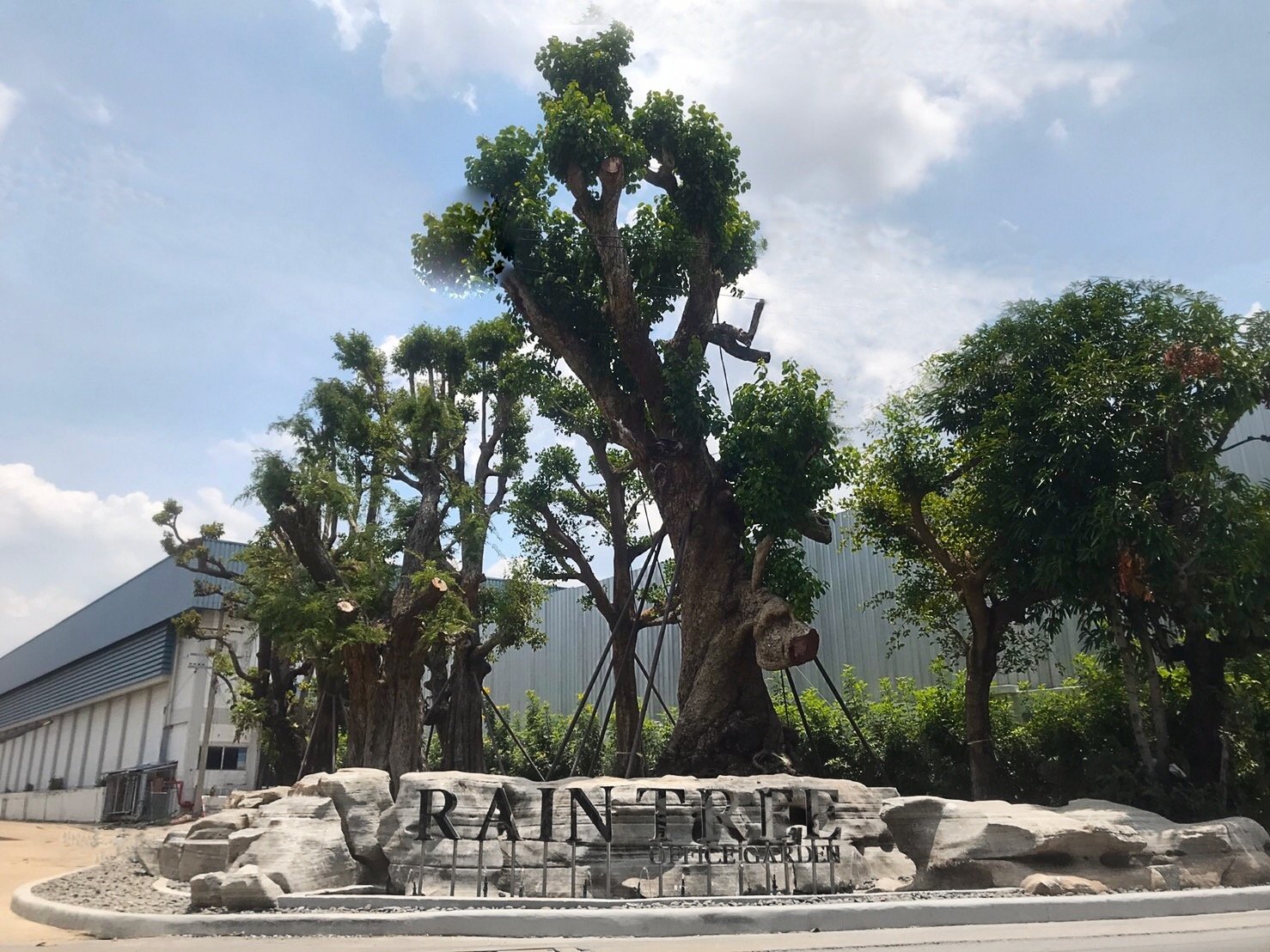 RAINTREE OFFICE GARDEN | เรนทรี ออฟฟิศ การ์เด้น RAINTREE OFFICE GARDEN | เรนทรี ออฟฟิศ การ์เด้น