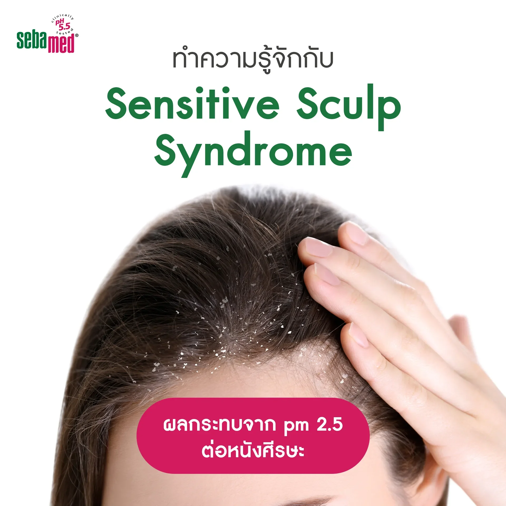 Sensitive Scalp Syndrome ผลกระทบจาก pm 2.5 ต่อหนังศีรษะ