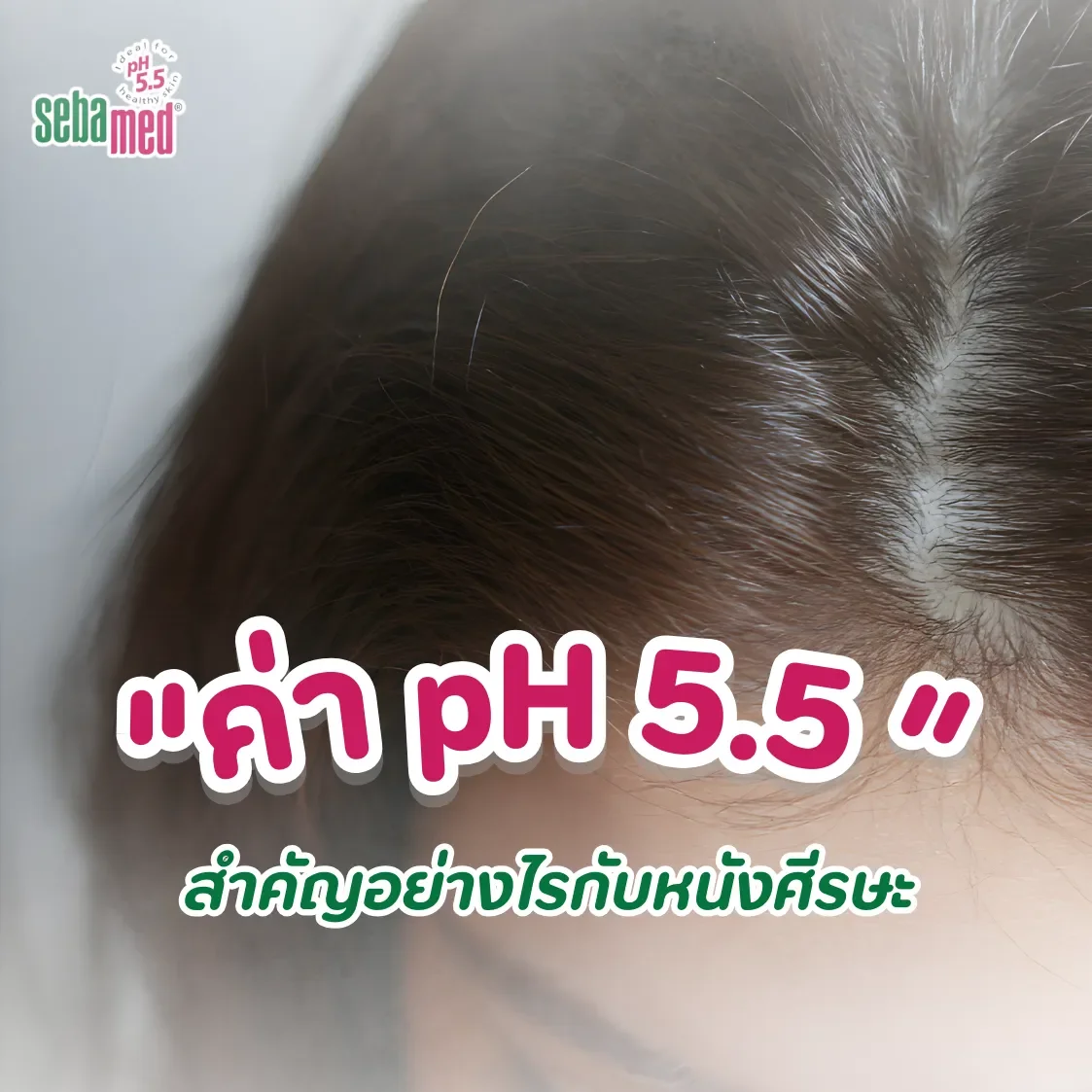 ค่า pH 5.5 สำคัญอย่างไรกับหนังศีรษะ?