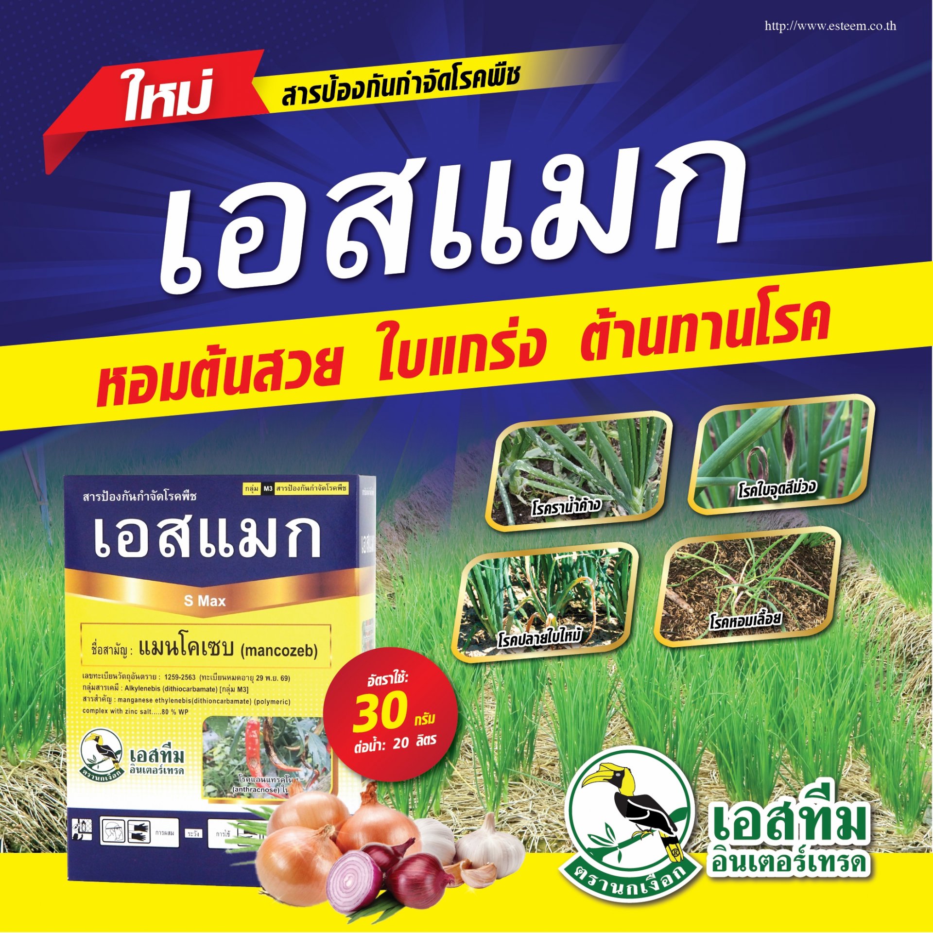 หอมต้นสวย ใบแกร่ง ปลอดโรคพืช ด้วย เอสแมก หอมต้นสวย ใบแกร่ง ปลอดโรคพืช ด้วย เอสแมก