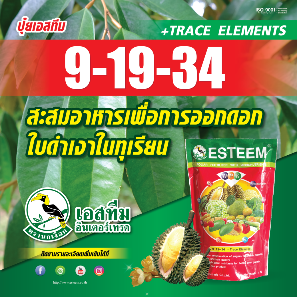 "ปุ๋ยเอสทีม (แดง) สูตร 9-19-34" สะสมอาหารเพื่อการออกดอก "ปุ๋ยเอสทีม (แดง) สูตร 9-19-34" สะสมอาหารเพื่อการออกดอก
