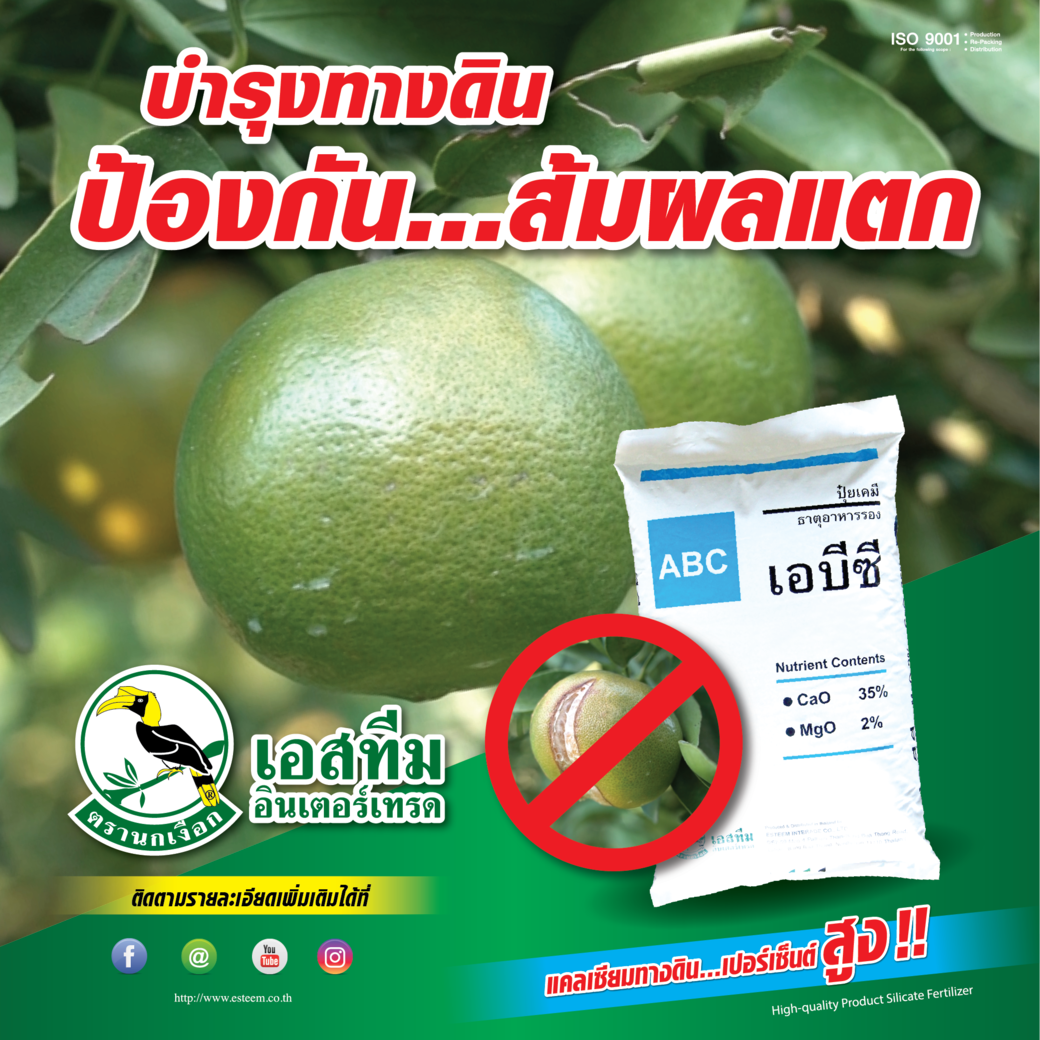 "เอบีซี" บำรุงทางดิน ป้องกันผลส้มแตก "เอบีซี" บำรุงทางดิน ป้องกันผลส้มแตก