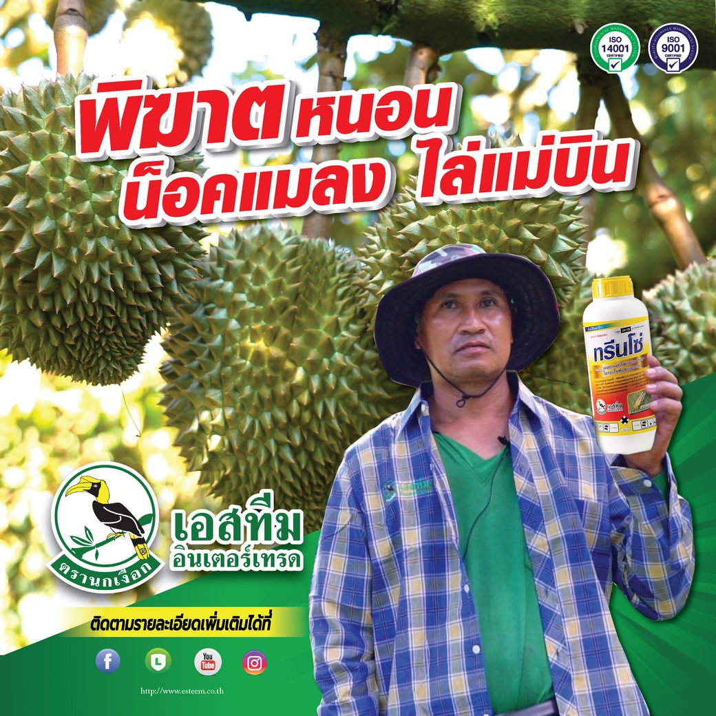 ทุเรียนภูเขาไฟ สบายใจ ปลอดเพลี้ย หนอน