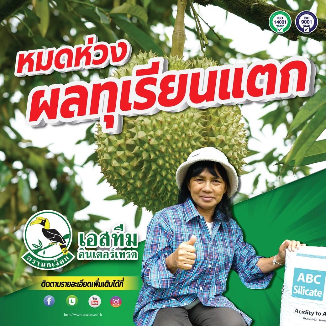 หมดห่วง ผลทุเรียนแตก