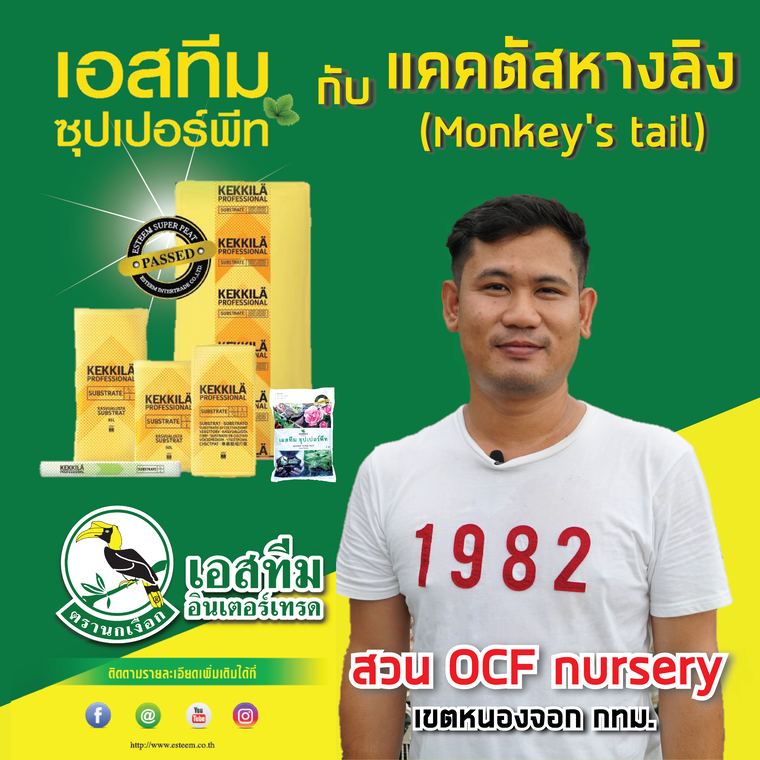 ทำไมถึงใช้ "เอสทีม ซุปเปอร์พีท" ? โดยคุณสหรัฐ ซุ่ยหิรัญ เจ้าของสวน OCF Nursery (แคคตัสและไม้ใบ)