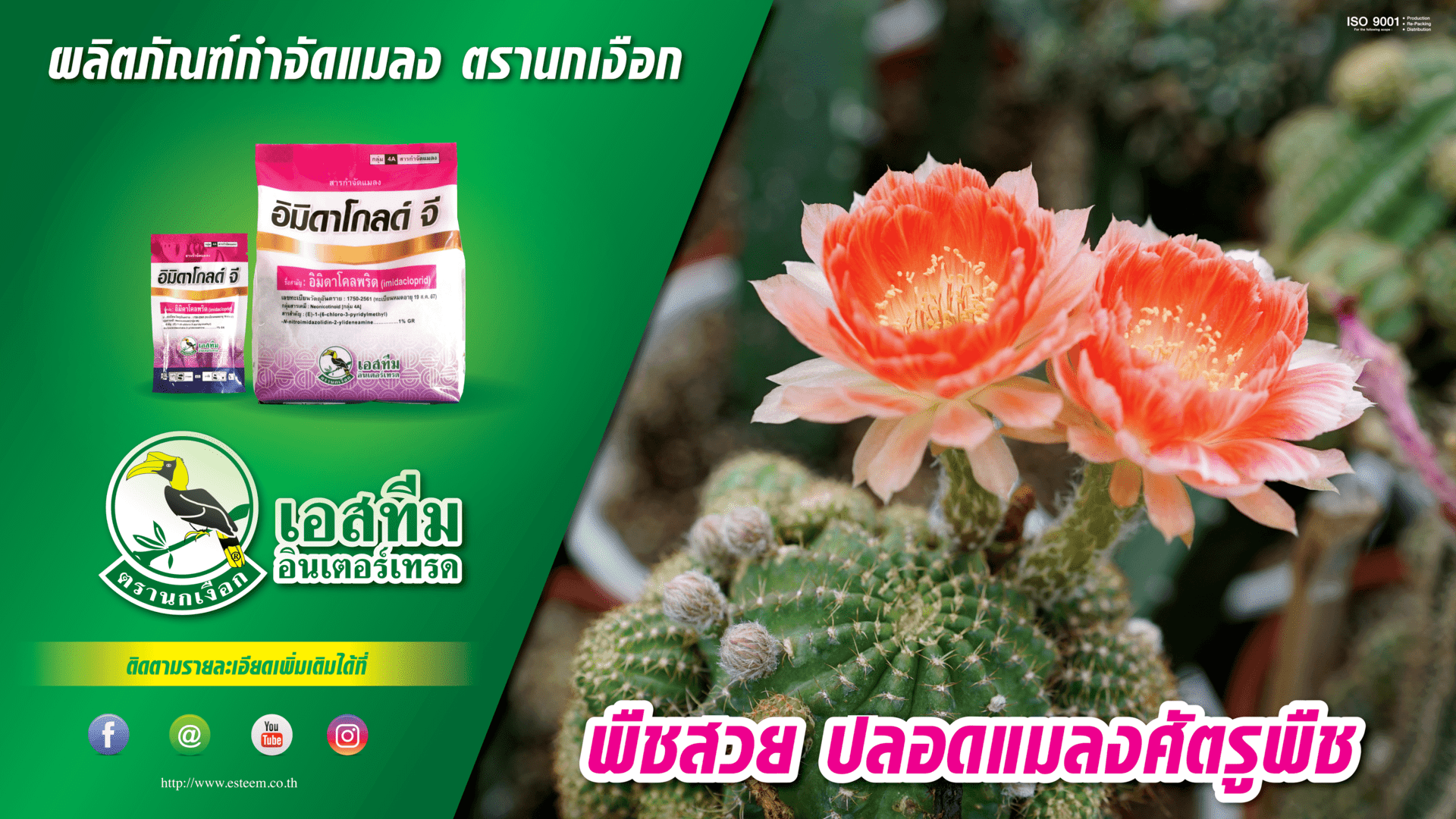 การใช้ผลิตภัณฑ์"อิมิดาโกลด์ จี" กำจัดแมลงในแคคตัส โดยคุณสมพล เบญจสว่างจิตต์ เจ้าของร้านทองคำ จตุจักร