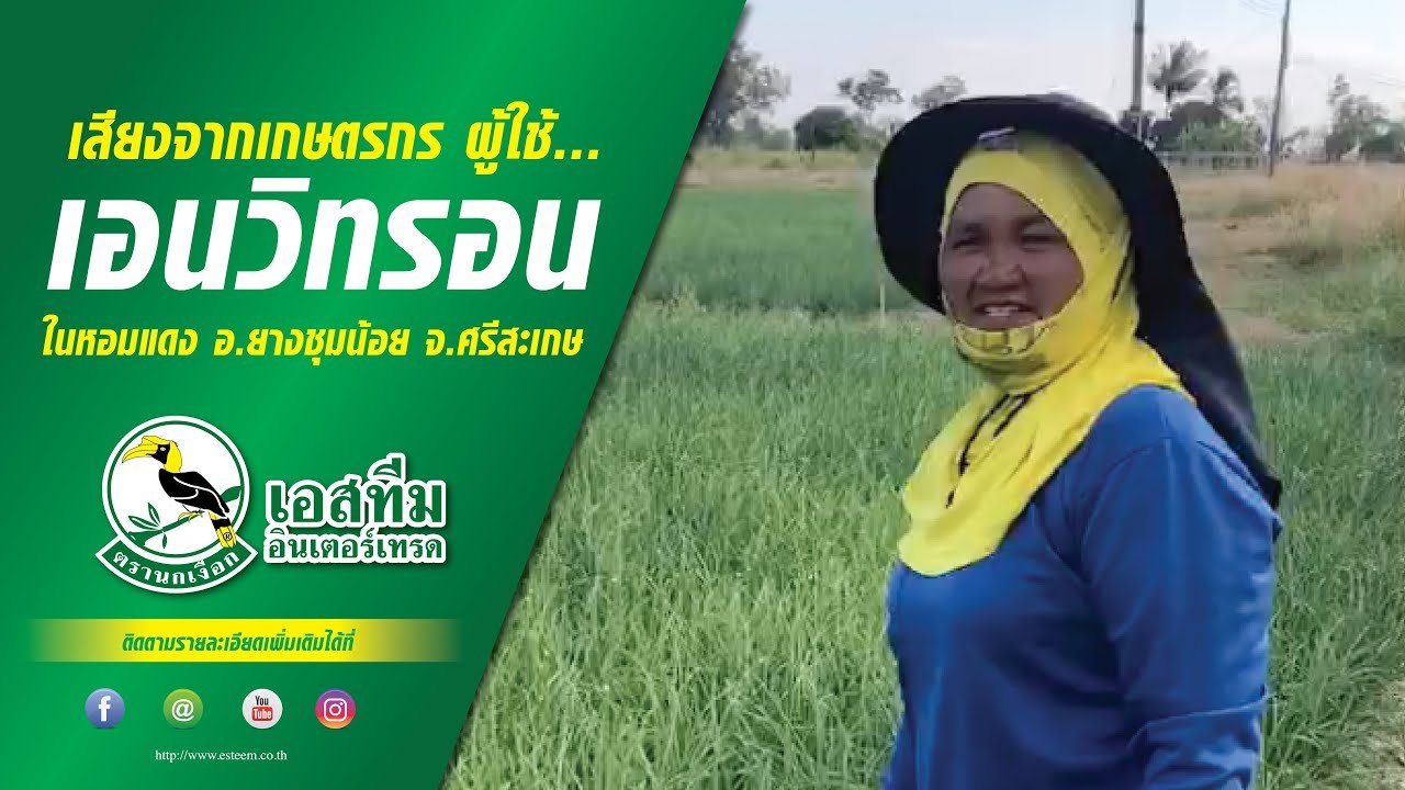 เสียงจากเกษตรกรตัวจริง ผู้ใช้เอนวิทรอน ในหอมแดง เสียงจากเกษตรกรตัวจริง ผู้ใช้เอนวิทรอน ในหอมแดง