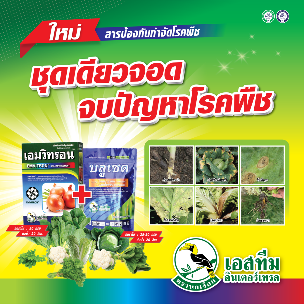 เอมวิทรอน + บลูเซต ชุดเดียวจอด รอดจากโรคแบคทีเรีย เอมวิทรอน + บลูเซต ชุดเดียวจอด รอดจากโรคแบคทีเรีย
