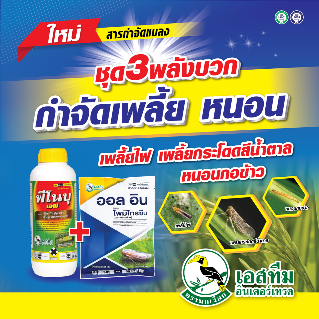 ออลอิน + ฟีโนบุ เอฟ ชุดกำจัดหนอน เพลี้ย เกลี้ยงแปลง