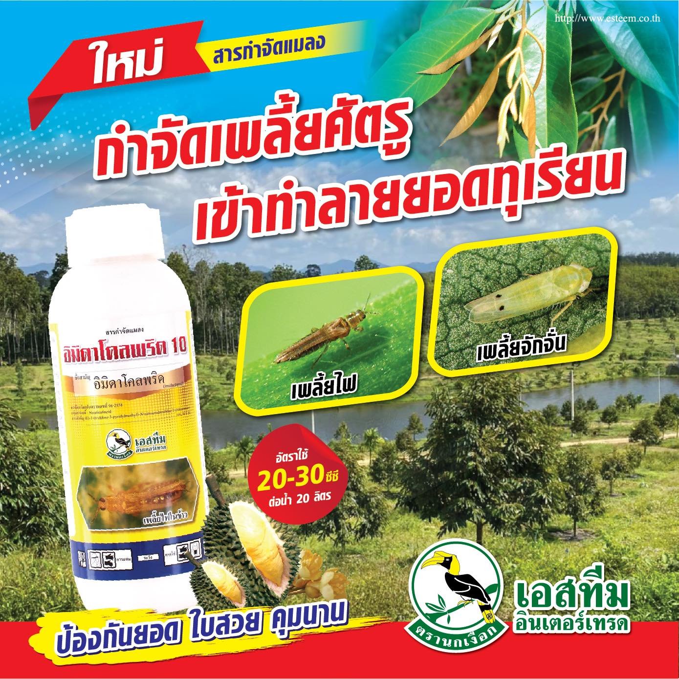 กำจัดเพลี้ยศัตรู เข้าทำร้ายยอดทุเรียน กำจัดเพลี้ยศัตรู เข้าทำร้ายยอดทุเรียน