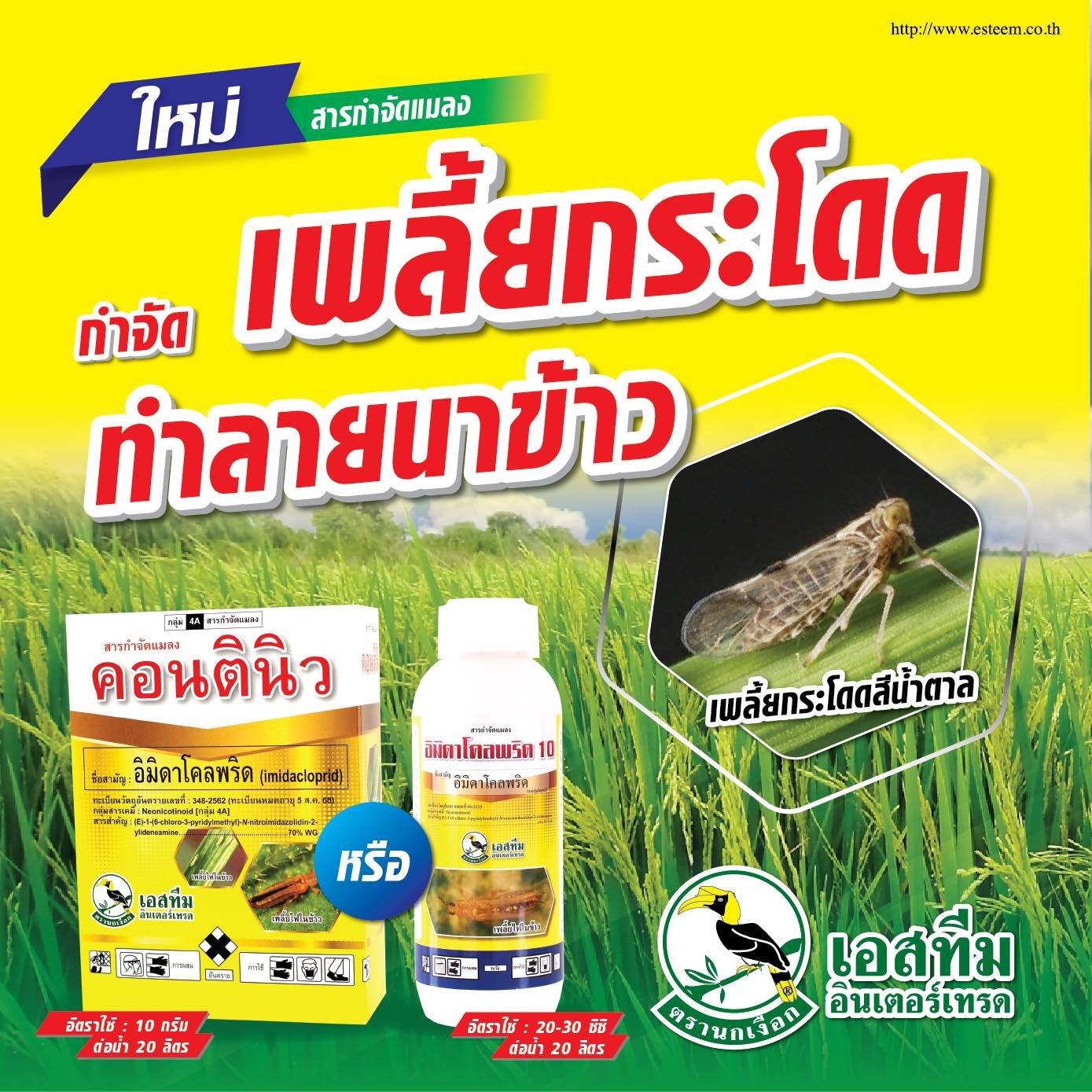 เตือนภัย เพลี้ยกระโดดสีน้ำตาลกำลังมา... เตือนภัย เพลี้ยกระโดดสีน้ำตาลกำลังมา...