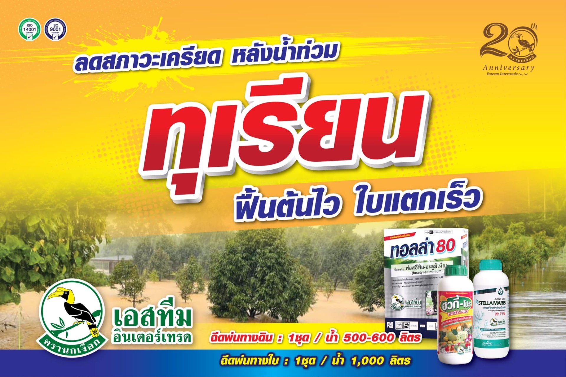 ลดสภาวะเครียด หลังน้ำท่วม ในทุเรียน ลดสภาวะเครียด หลังน้ำท่วม ในทุเรียน