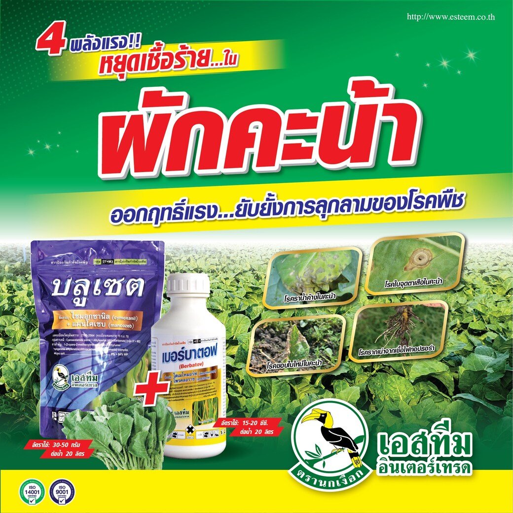 บลูเซต + เบอร์บาตอฟ 4 พลังแรง หยุดเชื้อร้ายในคะน้า