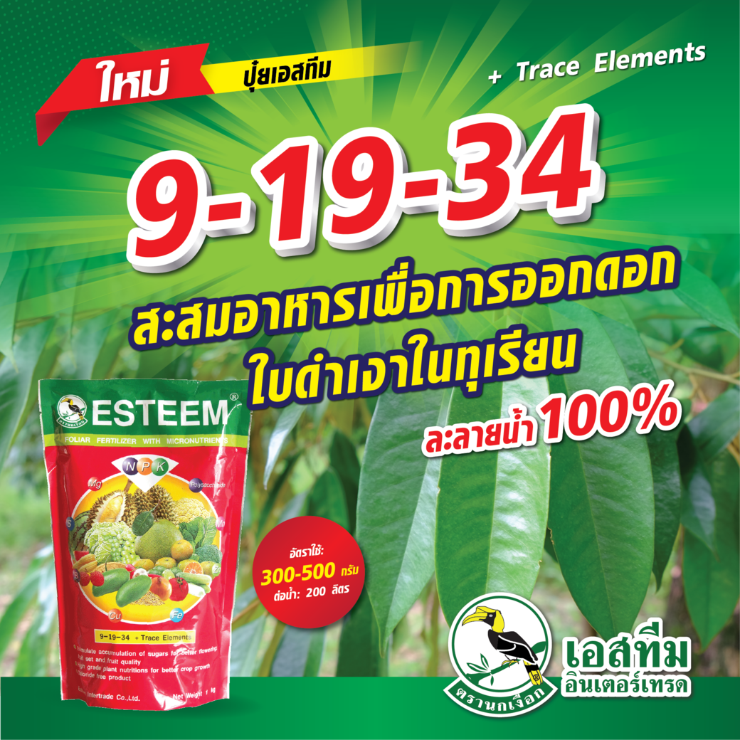 ปุ๋ยเอสทีม (แดง) สะสมอาหารเพื่อการออกดอก
