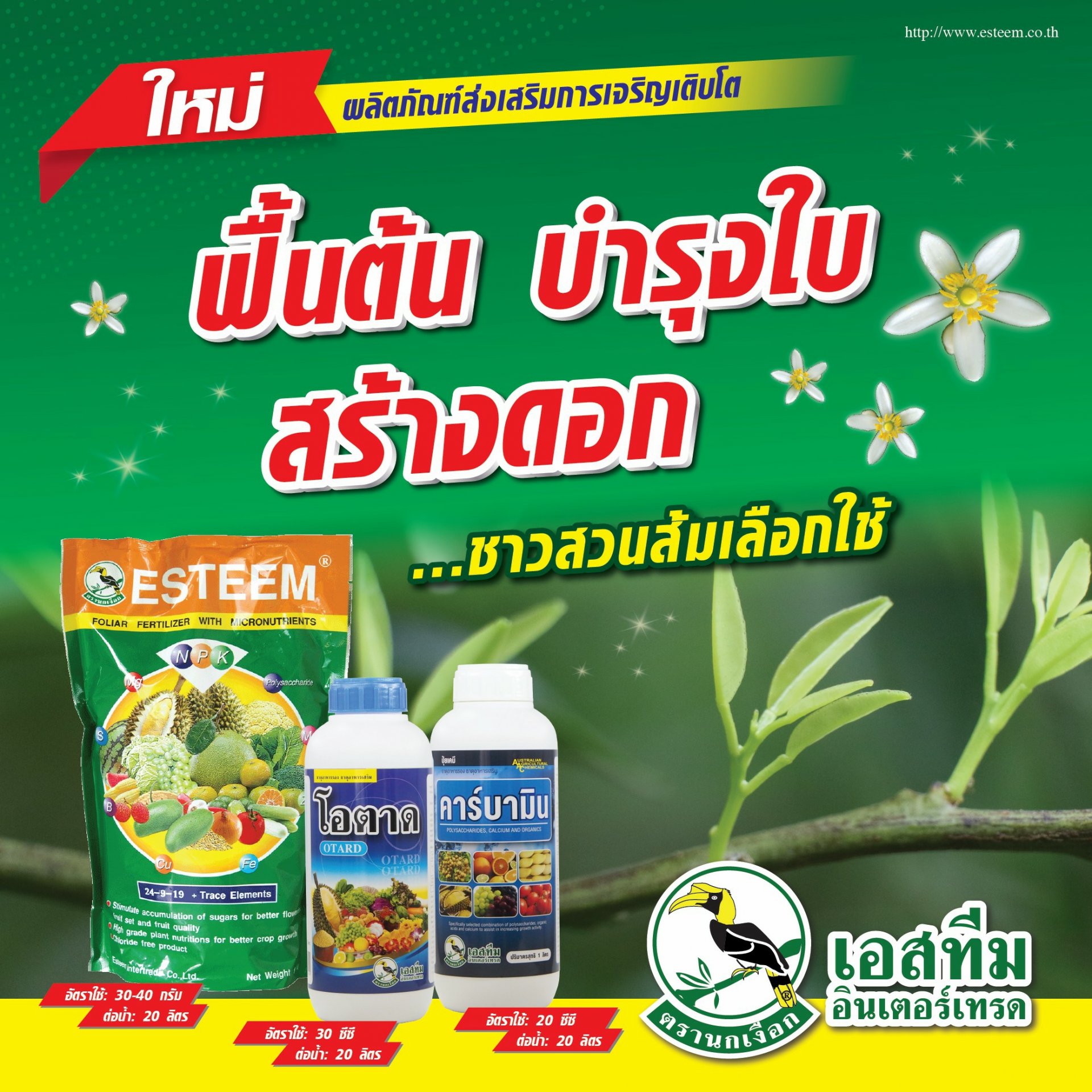 ฟื้นต้นบำรุงใบ สร้างดอก ชาวสวนส้มเลือกใช้ ปุ๋ยเอสทีมเขียว ➕ โอตาด ➕ คาร์บามิน