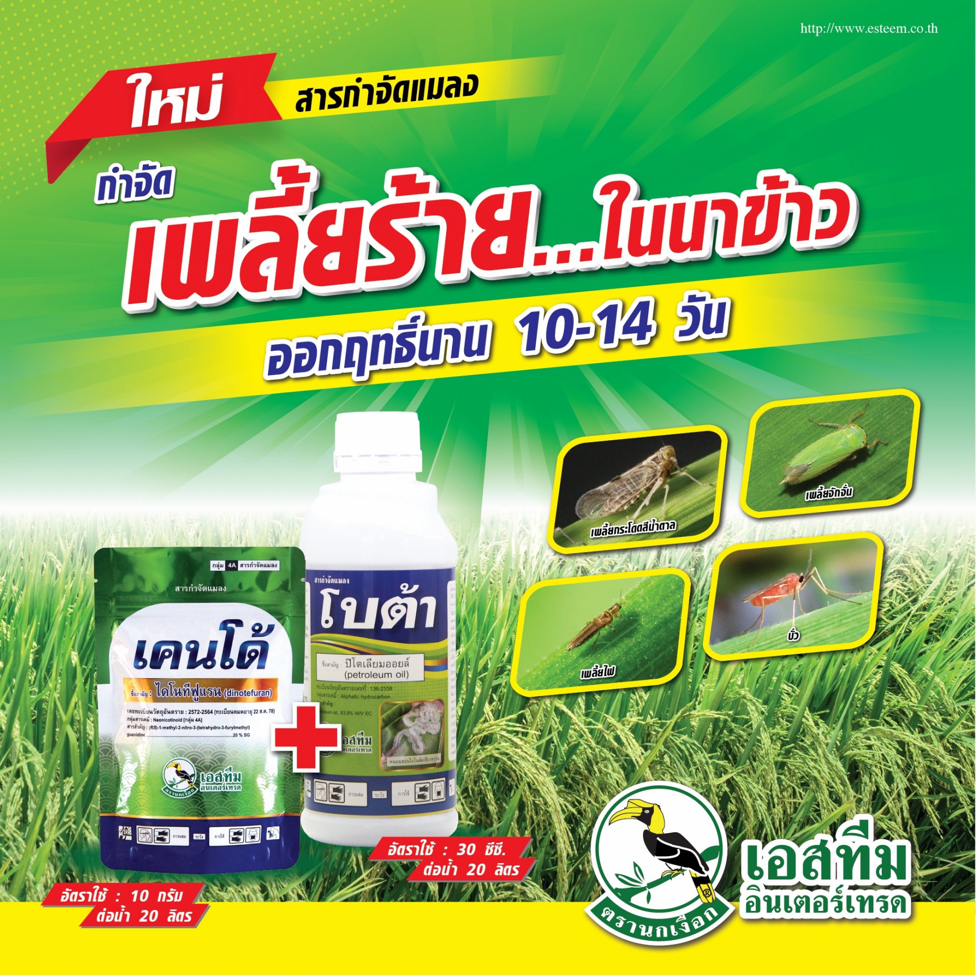 กำจัดเพลี้ยร้าย ในนาข้าว ออกฤทธิ์ได้นาน 10-14 วัน เคนโด้ ➕ โบต้า คุมแมลงได้เยี่ยม