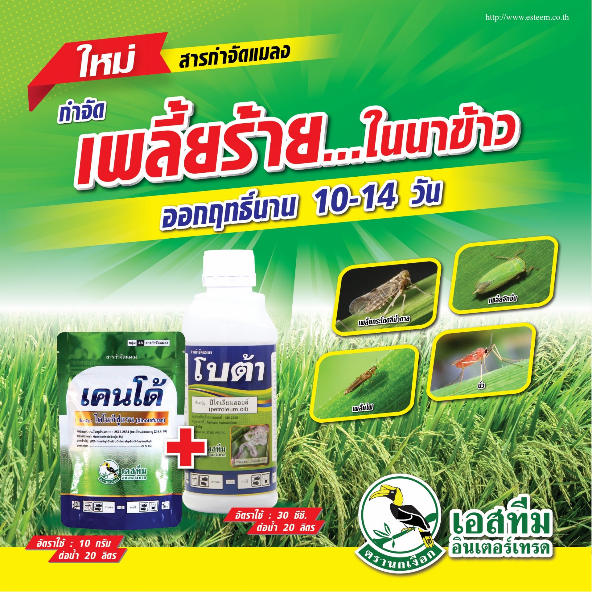 กำจัดเพลี้ยร้าย ในนาข้าว ออกฤทธิ์ได้นาน 10-14 วัน เคนโด้ ➕ โบต้า คุมแมลงได้เยี่ยม กำจัดเพลี้ยร้าย ในนาข้าว ออกฤทธิ์ได้นาน 10-14 วัน เคนโด้ ➕ โบต้า คุมแมลงได้เยี่ยม