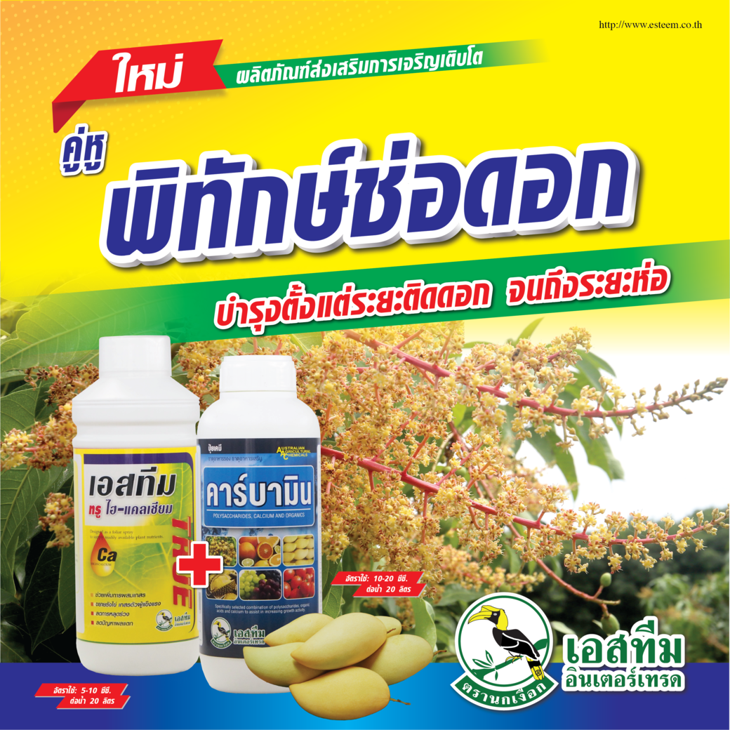 คู่หูพิทักษ์ช่อดอกมะม่วง เอสทีม ทรู ไฮ-แคลเซียม + คาร์บามิน