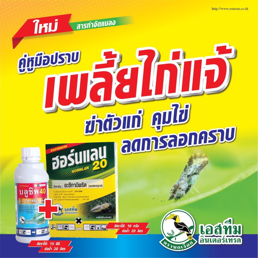 ฮอร์นแลน 20 บลูชิพ 40 คู่หูฆ่าตัวแก่ คุมไข่ ลดการลอกคราบของเพลี้ยไก่แจ้ส้ม