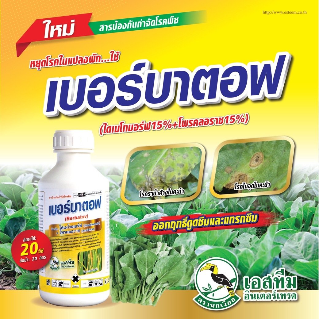 หยุดโรคในแปลงผัก ด้วย เบอร์บาตอฟ