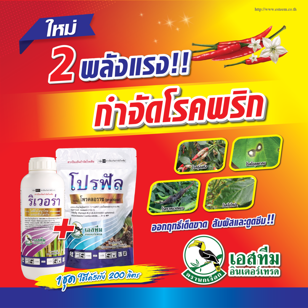 ริเวอร่า + โปรฟัล 2 พลังแรง กำจัดโรคในพริก ริเวอร่า + โปรฟัล 2 พลังแรง กำจัดโรคในพริก