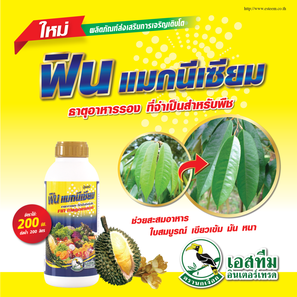 ฟิน แมกนีเซียม ธาตุอาหารรองจำเป็นต่อทุเรียน!