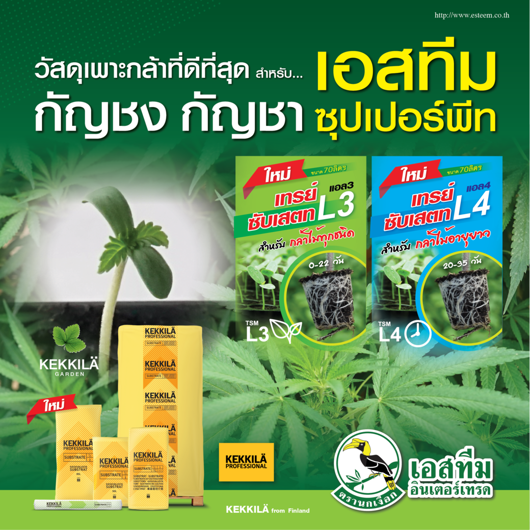 วัสดุเพาะกล้าสำหรับกัญชง กัญชา เอสทีม ซุปเปอร์พีท