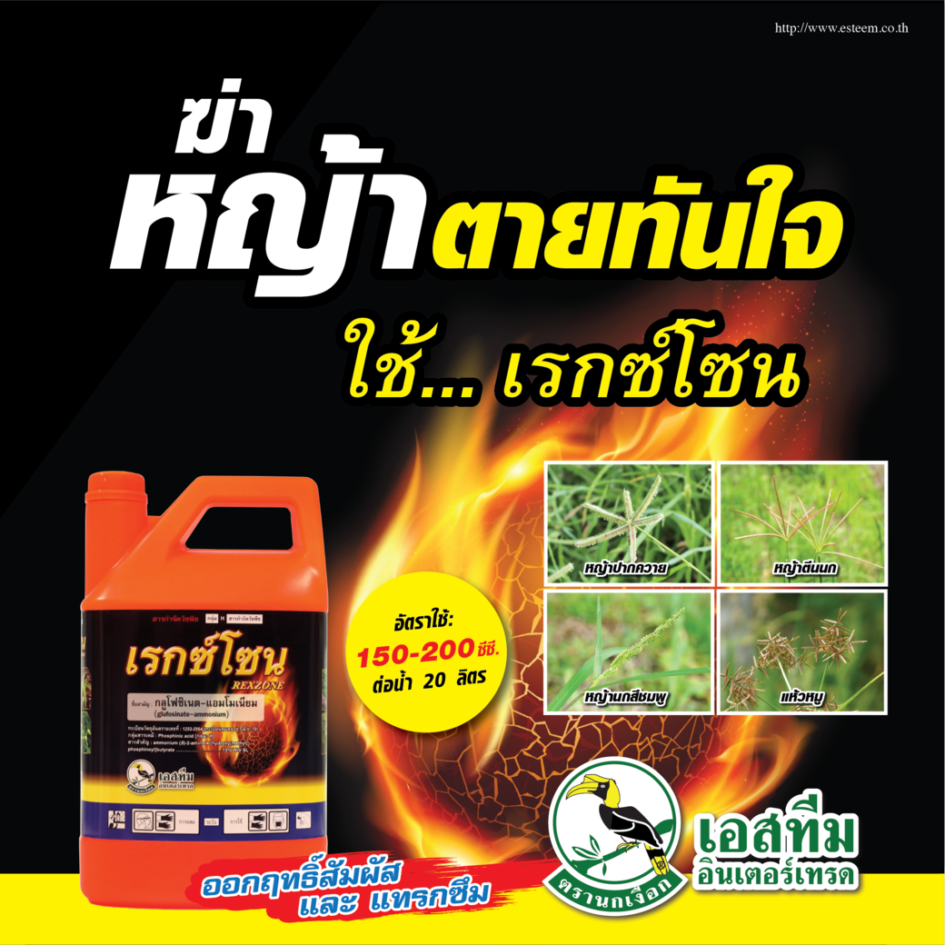 เรกซ์โซน (กลูโฟซิเนต-แอมโมเนียม 15% SL) ออกฤทธิ์ทั้งสัมผัสและแทรกซึม