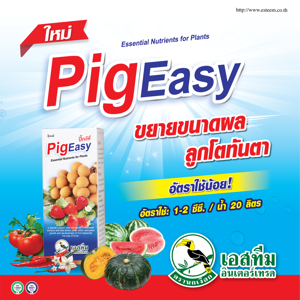 ปิ๊กอีซี่ ขยายขนาดผล ลูกโตทันตา