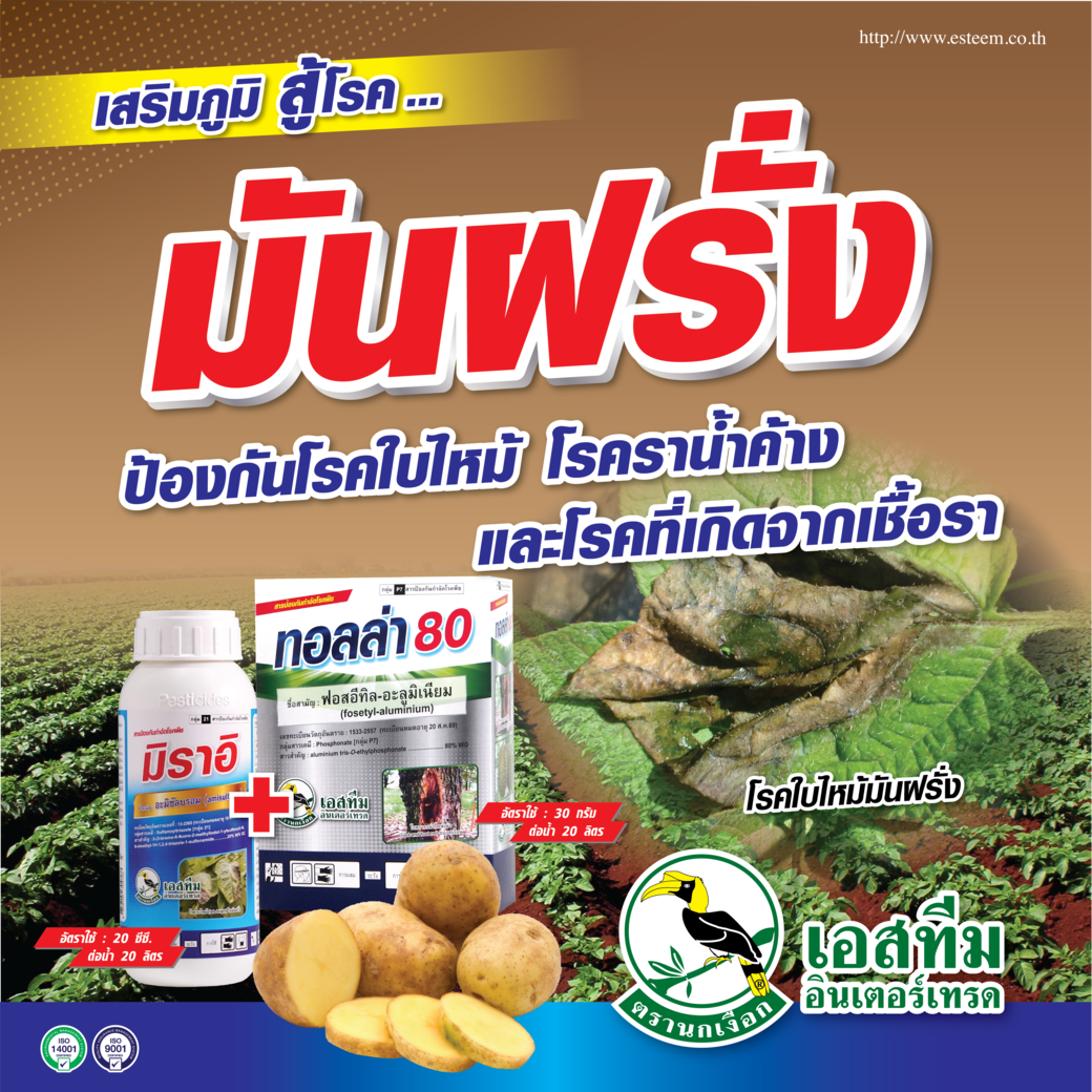 เสริมภูมิ สู้โรค...มันฝรั่ง เสริมภูมิ สู้โรค...มันฝรั่ง