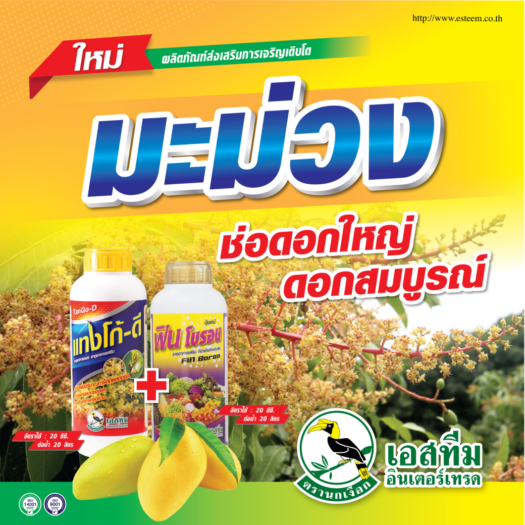แทงโก้-ดี + ฟิน โบรอน ชุดบำรุงช่อดอกมะม่วง