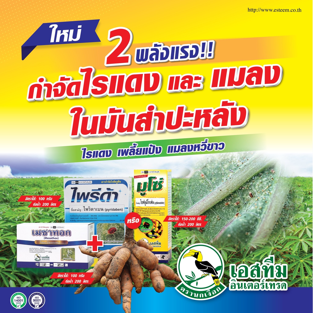 ชุดกำจัดไรแดงและแมลงในมันสำปะหลัง เมซาทอก + ไพรีด้า หรือ มูโซ่ ชุดกำจัดไรแดงและแมลงในมันสำปะหลัง เมซาทอก + ไพรีด้า หรือ มูโซ่