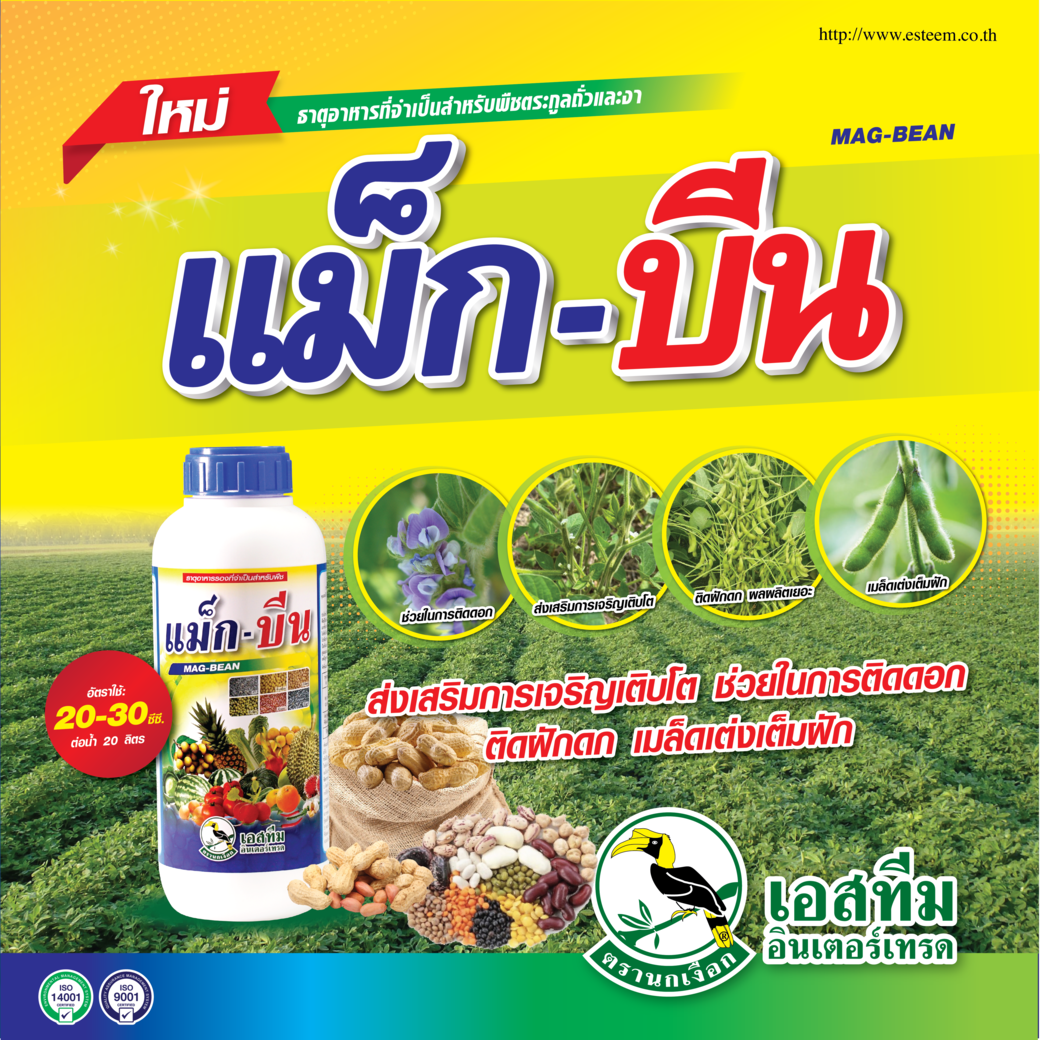 แม็กบีน อาหารเสริม เพิ่มผลผลิต ในถั่ว แม็กบีน อาหารเสริม เพิ่มผลผลิต ในถั่ว