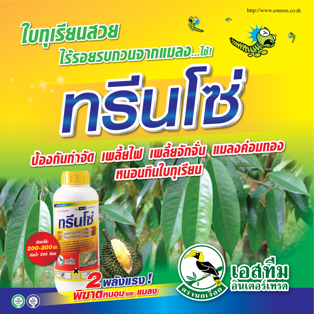 ใบทุเรียนสวย ไร้รอยรบกวนจากแมลง ใช้ทรีนโซ่ ใบทุเรียนสวย ไร้รอยรบกวนจากแมลง ใช้ทรีนโซ่