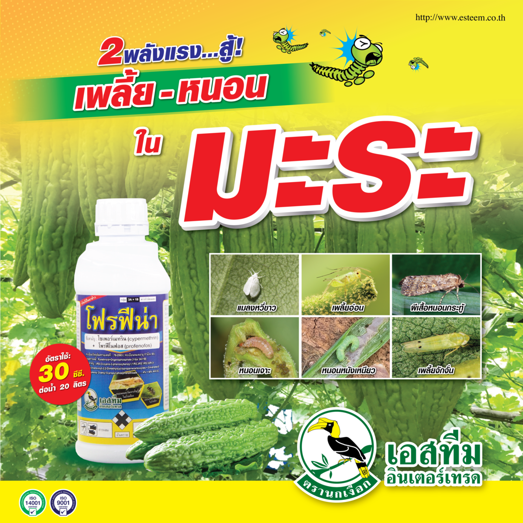 โฟรฟีน่า 2 พลังแรง สู้ เพลี้ย-หนอน ในมะระ โฟรฟีน่า 2 พลังแรง สู้ เพลี้ย-หนอน ในมะระ
