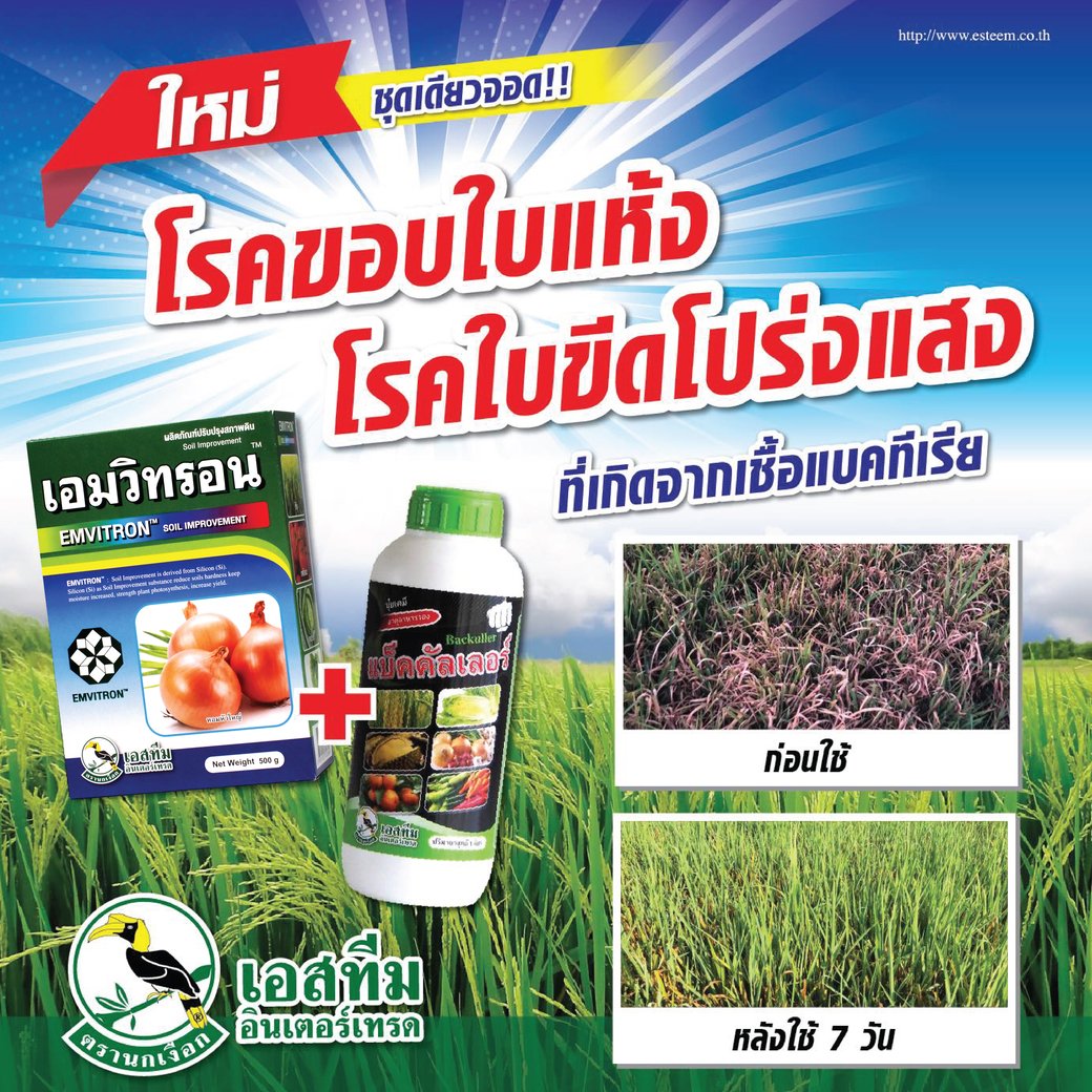 ชุดเดียวจบโรคนาข้าว แบ็คคัลเลอร์ + เอมวิทรอน ชุดเดียวจบโรคนาข้าว แบ็คคัลเลอร์ + เอมวิทรอน
