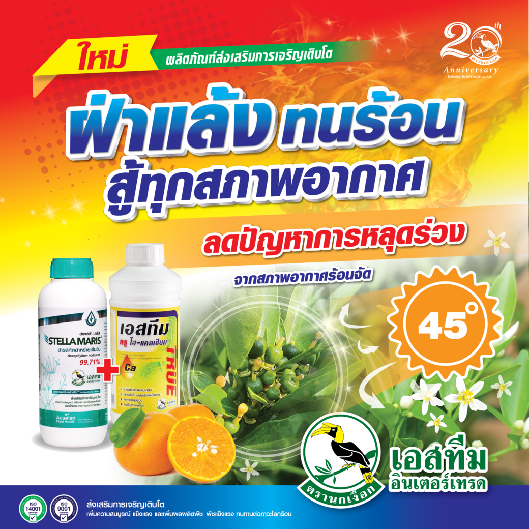 ชุดฝ่าวิกฤตร้อน สเตลล่า มาริส+เอสทีม ทรู ไฮ-แคลเซียม