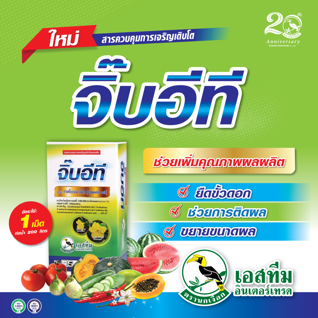 จิ๊บอีที จิ๊บเม็ด เพิ่มการยืดดอก ติดผล ขยายขนาดผล